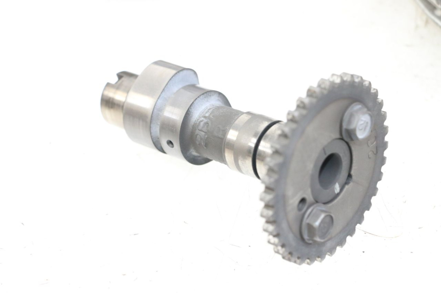 photo de TESTATA POSTERIORE SUZUKI VL INTRUDER 125 (2004 - 2007)