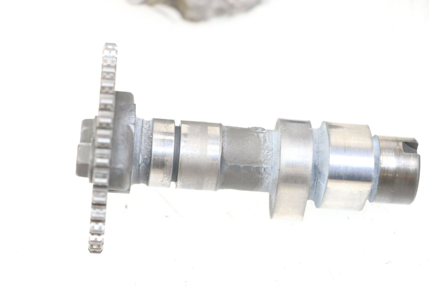 photo de TESTATA POSTERIORE SUZUKI VL INTRUDER 125 (2004 - 2007)