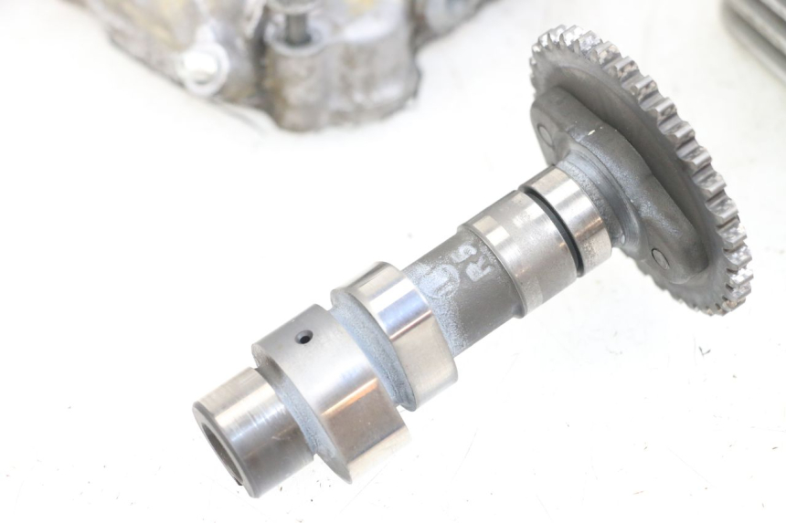 photo de TESTATA POSTERIORE SUZUKI VL INTRUDER 125 (2004 - 2007)