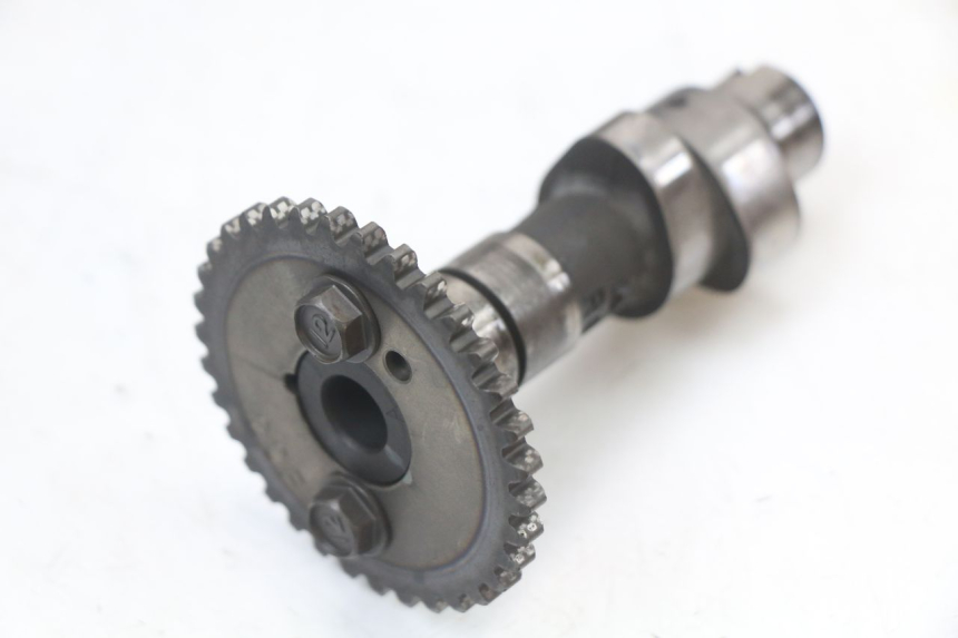 photo de TESTATA ANTERIORE SUZUKI VL INTRUDER 125 (2004 - 2007)