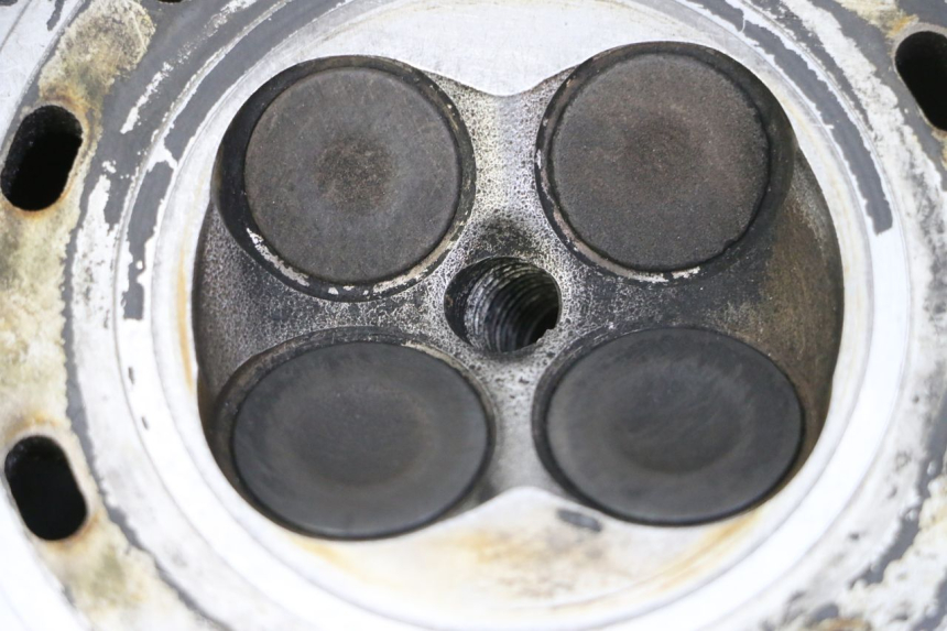 photo de TESTATA SUZUKI BURGMAN 125 (2007 - 2014)