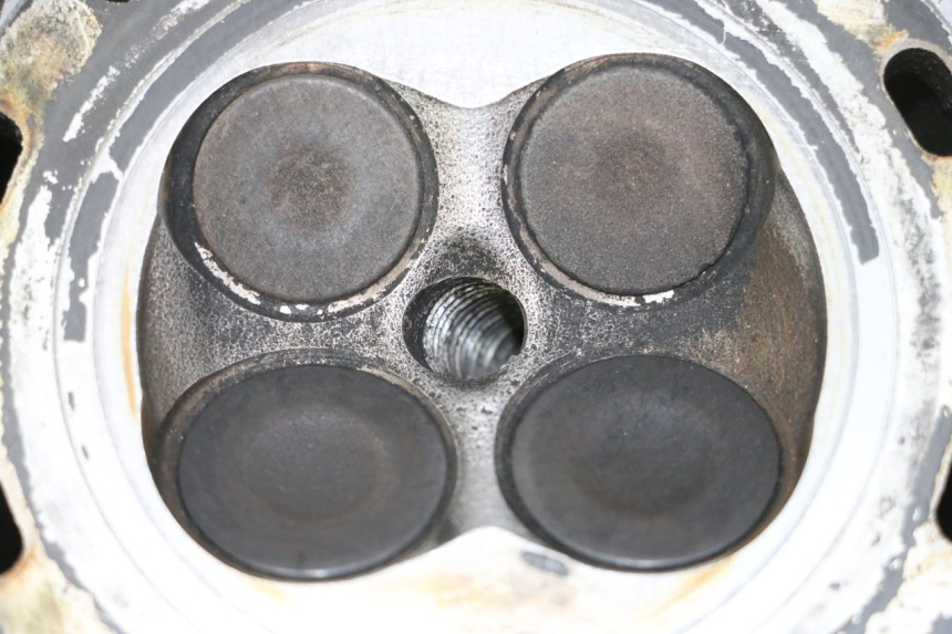 photo de TESTATA SUZUKI BURGMAN 125 (2007 - 2014)