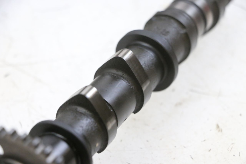 photo de TESTATA SUZUKI BURGMAN 650 (2013 - 2020)