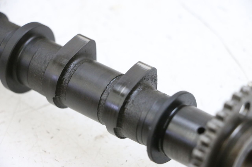 photo de TESTATA SUZUKI BURGMAN 650 (2013 - 2020)