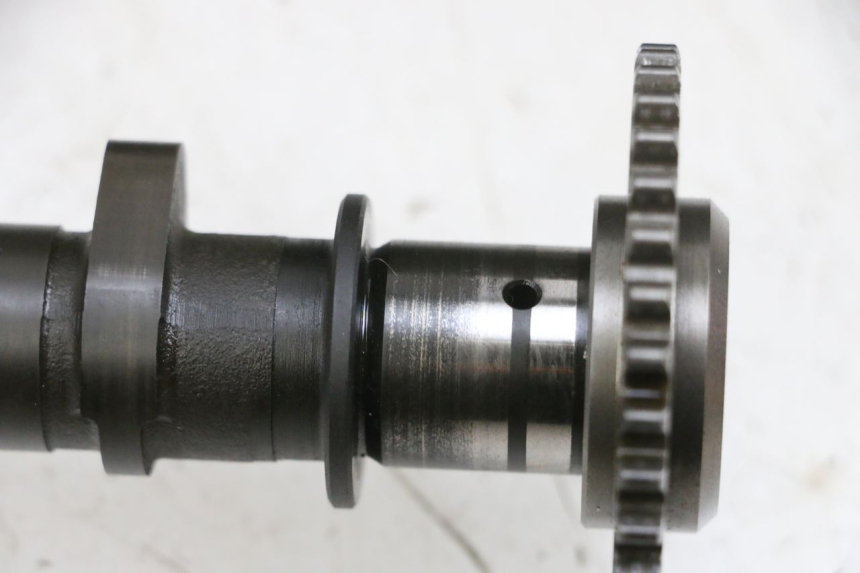 photo de TESTATA SUZUKI BURGMAN 650 (2013 - 2020)