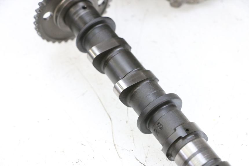 photo de TESTATA SUZUKI BURGMAN 650 (2013 - 2020)