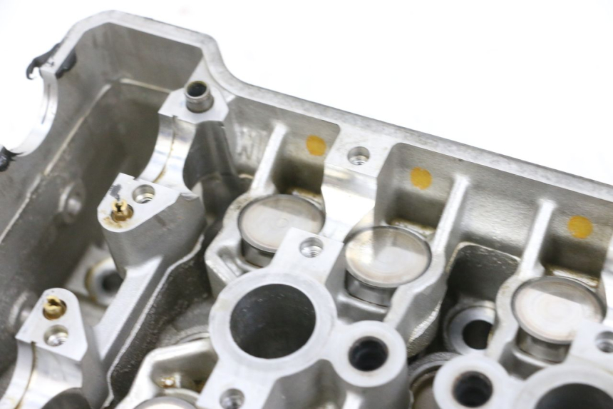 photo de TESTATA SUZUKI BURGMAN 650 (2013 - 2020)