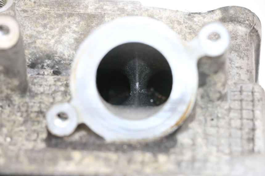 photo de TESTATA SUZUKI BURGMAN 650 (2013 - 2020)