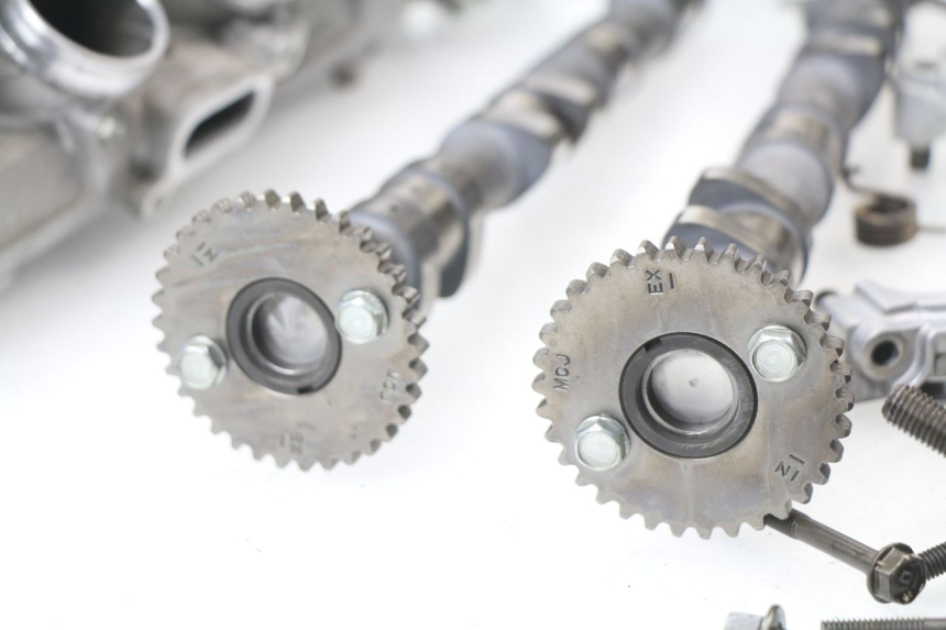 photo de Testata HONDA CBR 929 RR FIREBLADE 900 (2000 - 2001) - Panoramica del profilo