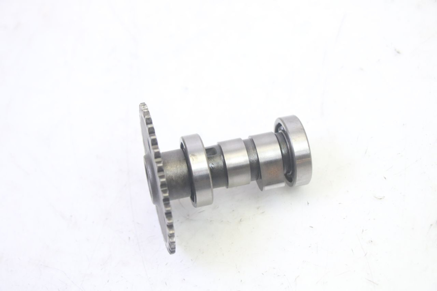 photo de TESTATA LONGJIA DIGITA 4T 50 (2019 - 2022) - Primo piano ad alta risoluzione