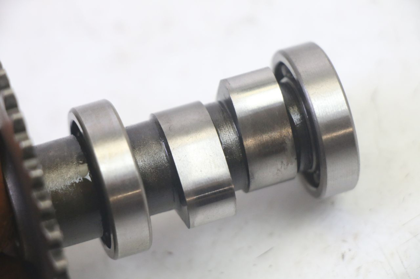 photo de TESTATA LONGJIA DIGITA 4T 50 (2019 - 2022) - Foto prodotto supplementare