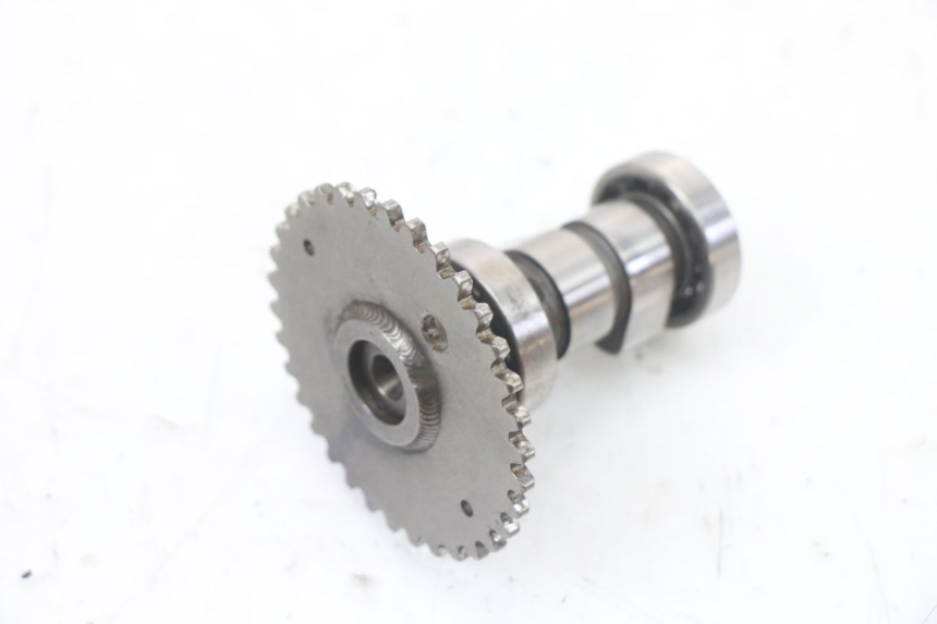 photo de TESTATA KYMCO DINK 4T 50 (2007 - 2018)