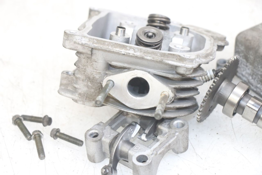 photo de TESTATA JM MOTORS EVOLIS 4T 50 (2018 - 2022)