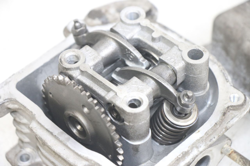 photo de TESTATA JM MOTORS EVOLIS 4T 50 (2018 - 2022)
