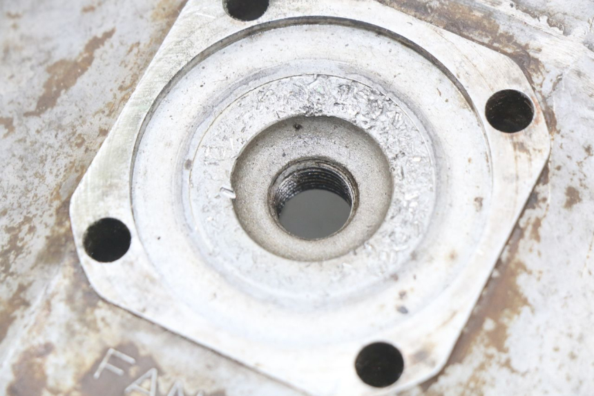 photo de Testata FANTIC MOTOR CABALLERO TX 190 50
