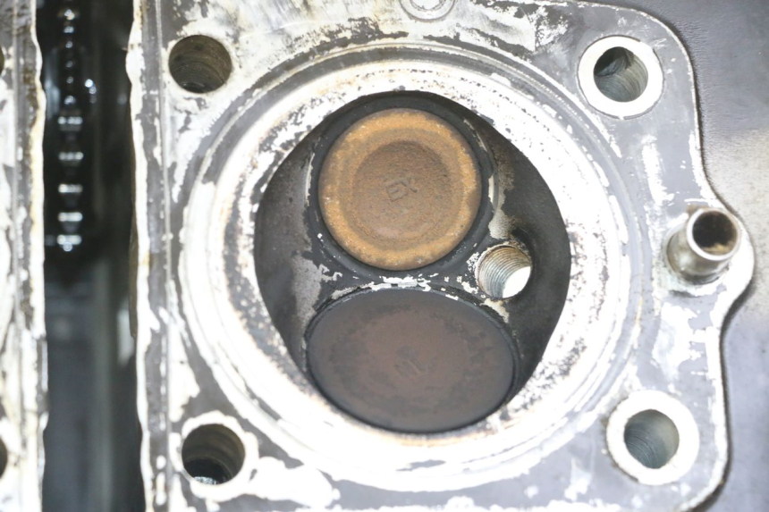 photo de TESTATA SUZUKI GS GSE 500 (2001 - 2003)