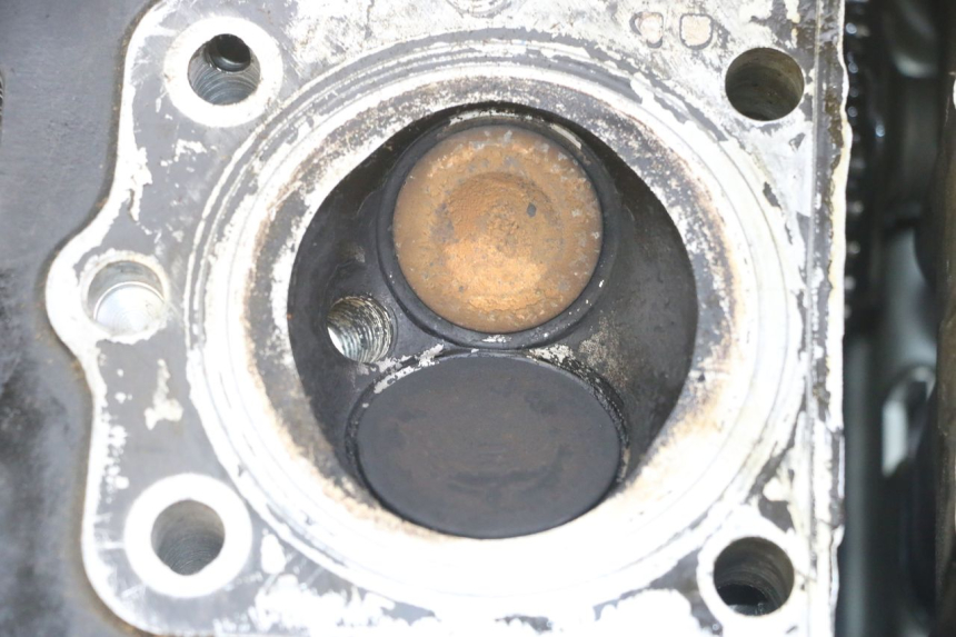 photo de TESTATA SUZUKI GS GSE 500 (2001 - 2003)