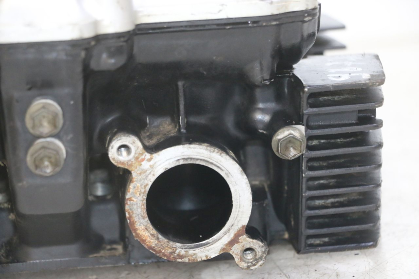 photo de TESTATA SUZUKI GS GSE 500 (2001 - 2003)