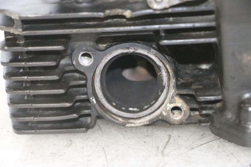 photo de TESTATA SUZUKI GS GSE 500 (2001 - 2003)