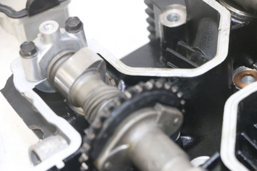 photo de TESTATA SUZUKI GS GSE 500 (2001 - 2003)