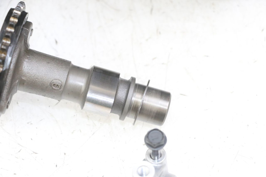 photo de TESTATA SUZUKI GS GSE 500 (2001 - 2003)