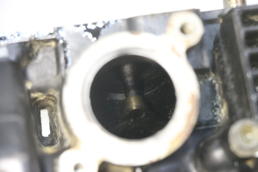 photo de TESTATA SUZUKI GS GSE 500 (2001 - 2003)