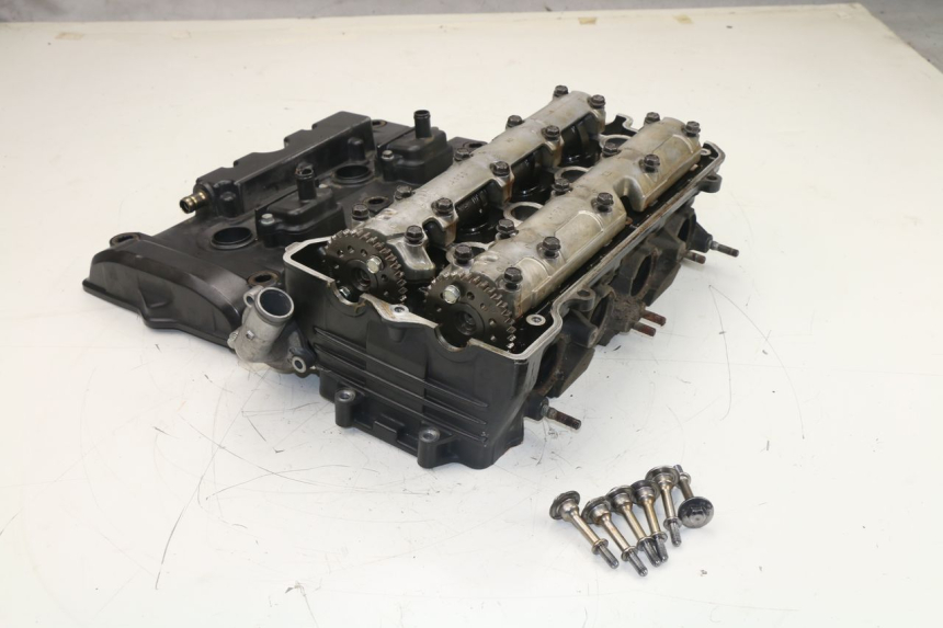 photo de Testata HONDA CBF N 600 (2004 - 2007)