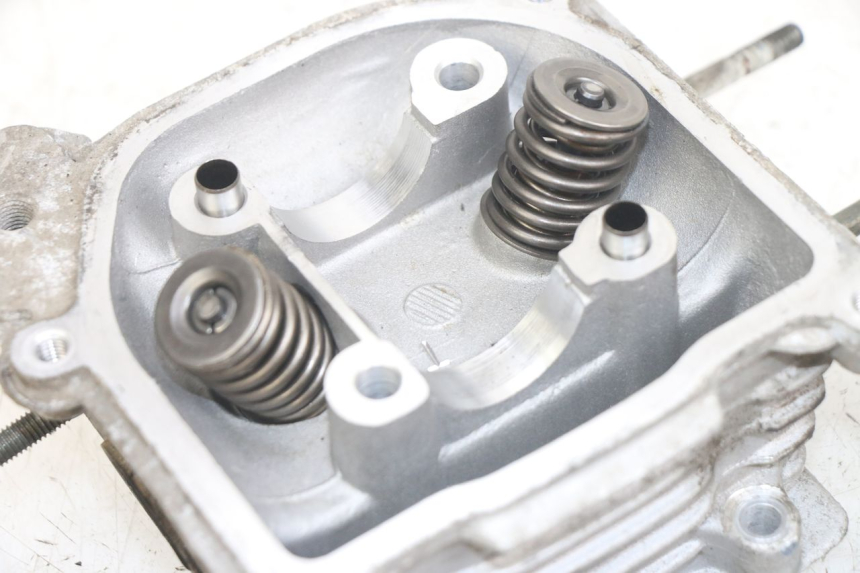 photo de TESTATA JM MOTORS EVOLIS 4T 50 (2018 - 2022)