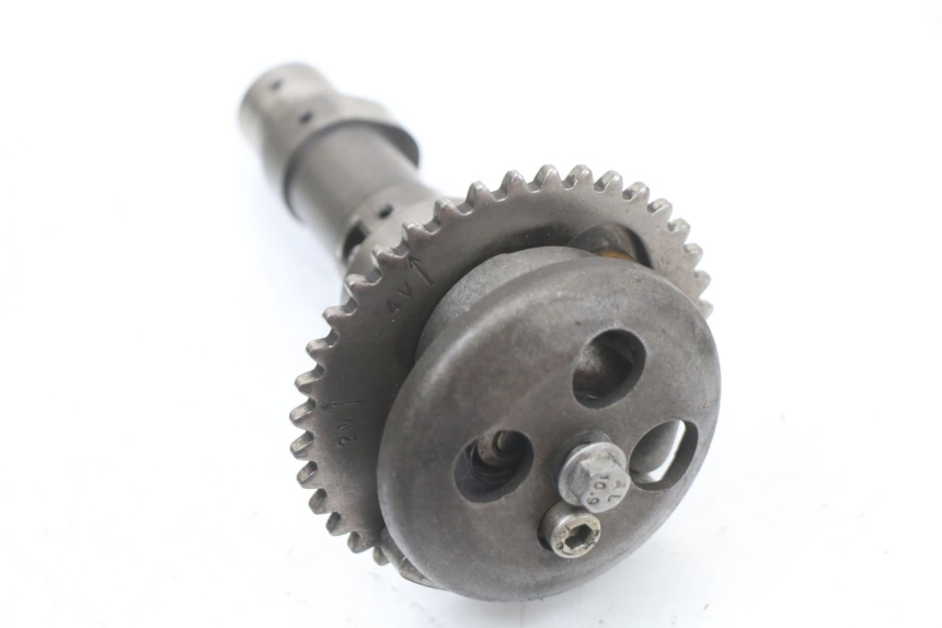 photo de TESTATA RENAULT KOURANOS 125 (2001 - 2004)