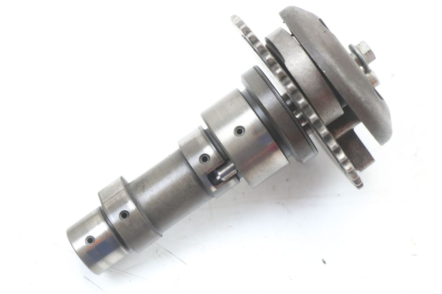 photo de TESTATA RENAULT KOURANOS 125 (2001 - 2004)