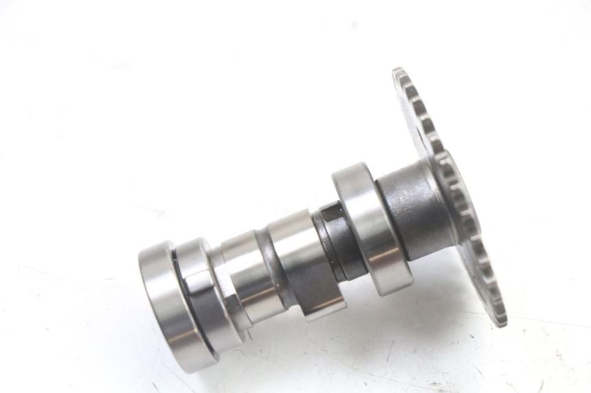 photo de TESTATA LONGJIA SHARPY 125 (2020 - 2024)