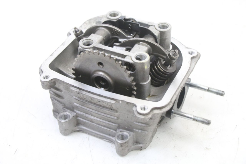 photo de TESTATA LONGJIA SHARPY 125 (2020 - 2024)