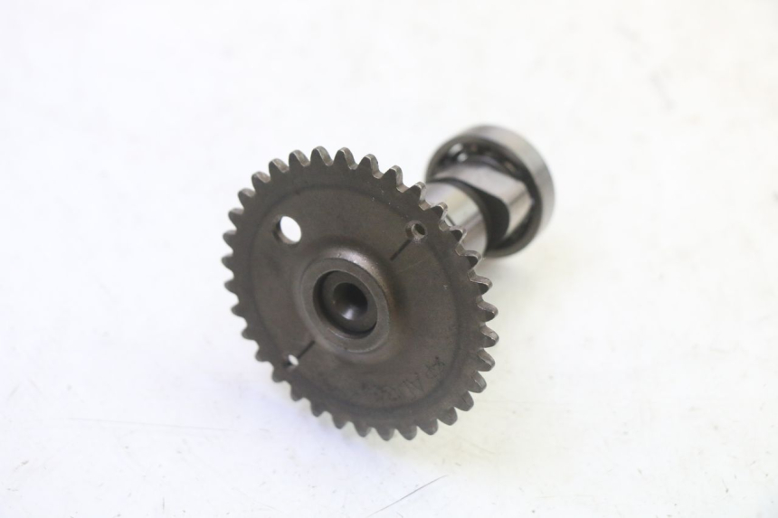 photo de TESTATA KYMCO LIKE 4T 50 (2019 - 2025)