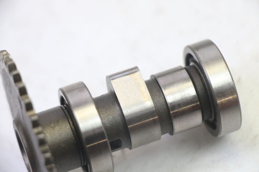 photo de TESTATA KYMCO LIKE 4T 50 (2019 - 2025)