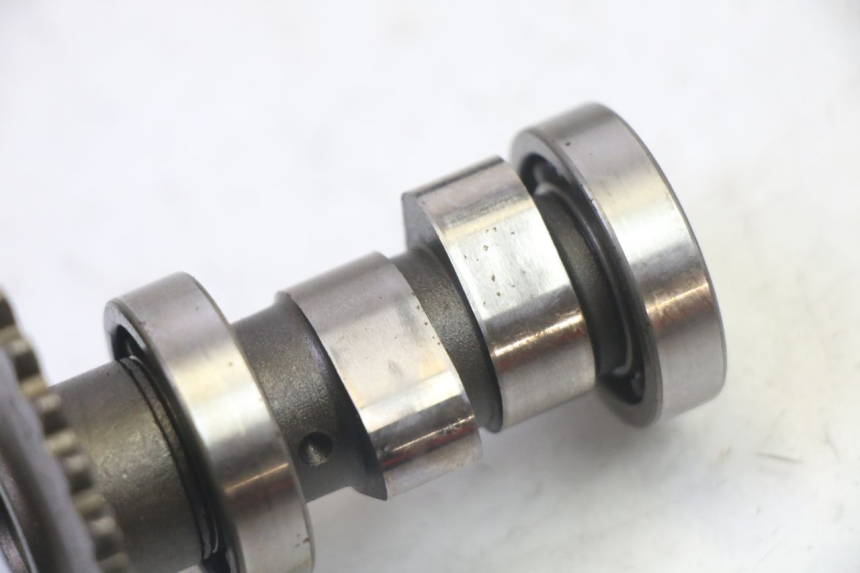 photo de TESTATA KYMCO LIKE 4T 50 (2019 - 2025)