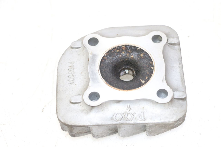 photo de TESTA PGO RODOSHOW 2T 50 (2003 - 2007)