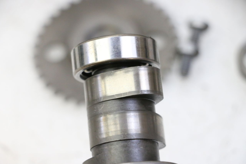 photo de TESTATA PEUGEOT SATELIS 125 (2013 - 2018)