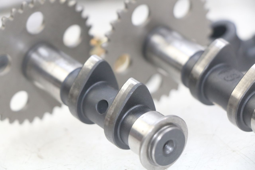 photo de TESTATA APRILIA SCARABEO LIGHT 125 (2007 - 2011)