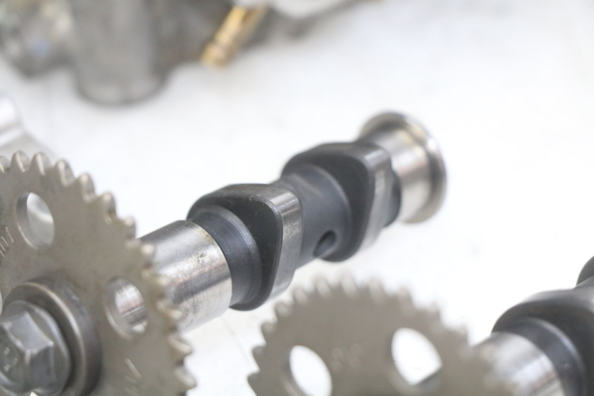 photo de TESTATA APRILIA SCARABEO LIGHT 125 (2007 - 2011)