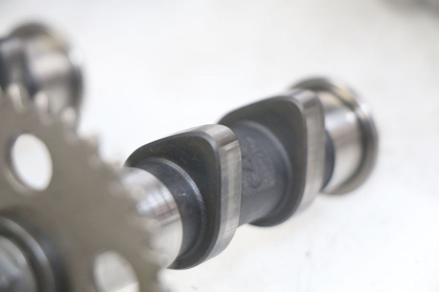 photo de TESTATA APRILIA SCARABEO LIGHT 125 (2007 - 2011)