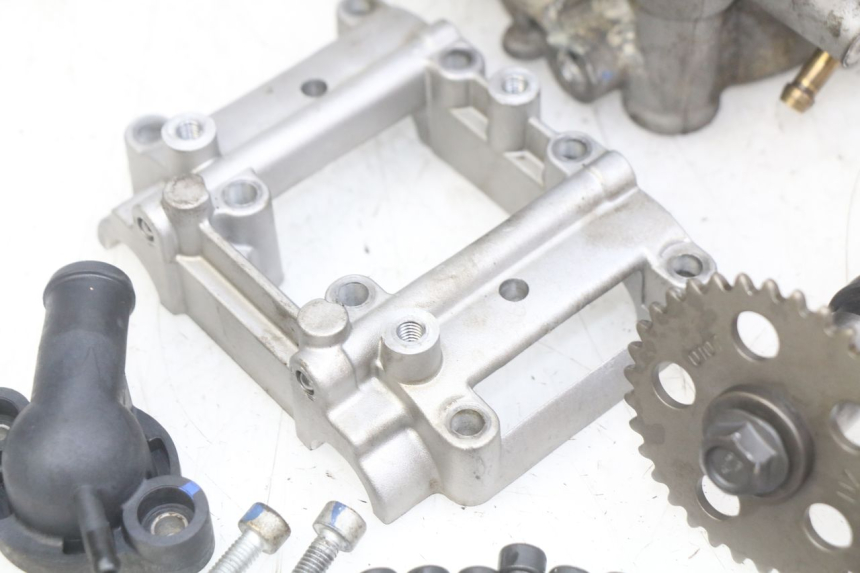 photo de TESTATA APRILIA SCARABEO LIGHT 125 (2007 - 2011)