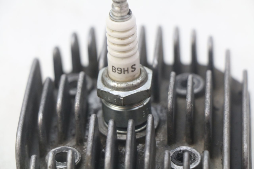 photo de TESTATA YAMAHA SLIDER NAKED 50 (2004 - 2018)