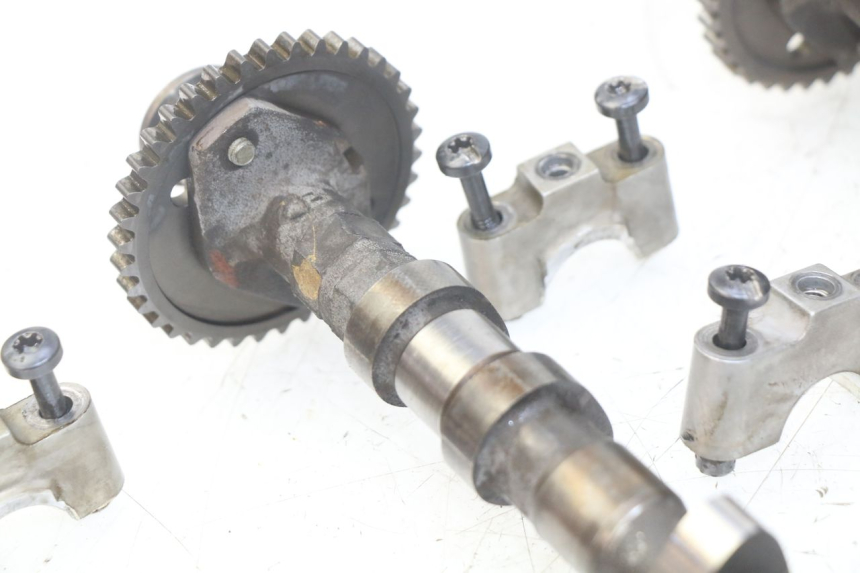 photo de TESTATA TRIUMPH SPRINT ST 955 (1999 - 2001)