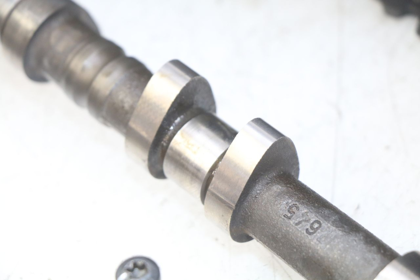 photo de TESTATA TRIUMPH SPRINT ST 955 (1999 - 2001)