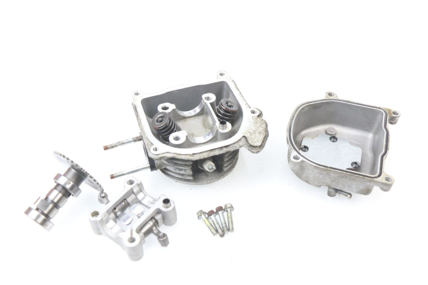 photo de Testata JM MOTORS SUNNY 50 (2017 - 2020)