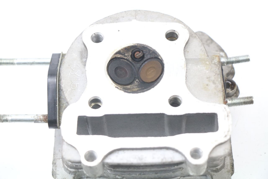 photo de Testata JM MOTORS SUNNY 50 (2017 - 2020)