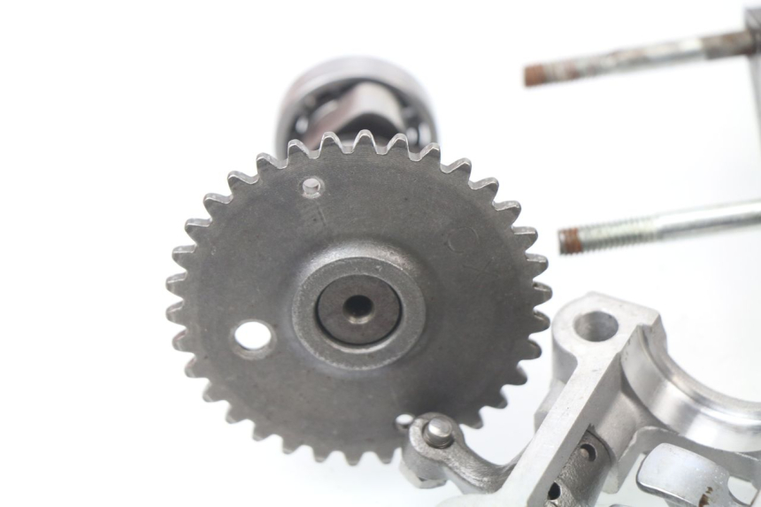 photo de Testata JM MOTORS SUNNY 50 (2017 - 2020)