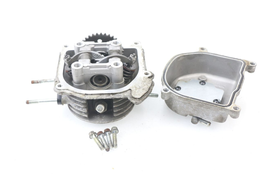 photo de Testata JM MOTORS SUNNY 50 (2017 - 2020)