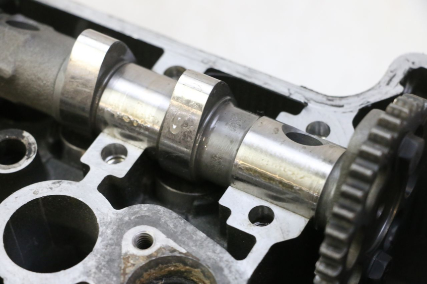 photo de Testata YAMAHA TDM ABS 900 (2002 - 2014)