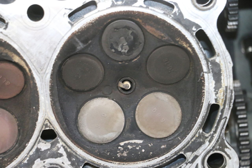 photo de Testata YAMAHA TDM ABS 900 (2002 - 2014)